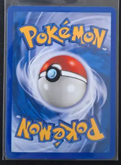 Pokemon - Charmander 98/165 - Common - Expedition Set - Mint - Image 2