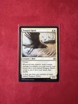 Tempest Hawk - Tarkir: Dragonstorm TDM - MTG Magic The Gathering #31 NM - Image 1