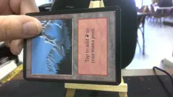 mountain alpha mtg - Image 3