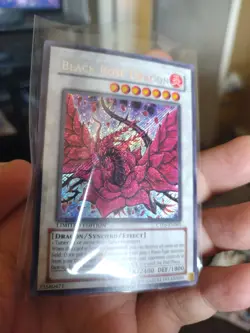 Black Rose Dragon CT05-EN003 2008 Collectors Tin Limited Edition - Image 2