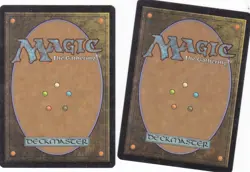 Glaring Aegis Dragon of Tarkir White Magic the Gathering MTG x2 - Image 3