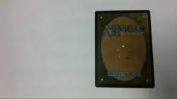 MTG Appa, Steadfast Guardian Borderless - Image 2