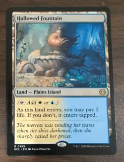 MTG Hallowed Fountain (265) | NM | Lorwyn Eclipsed - Image 1