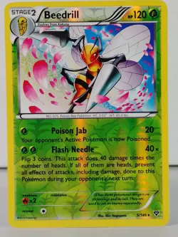 Beedrill - POKEMON - XY Base 5/146 - Reverse Holo - NM -D - Image 1