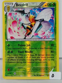 Beedrill - POKEMON - XY Base 5/146 - Reverse Holo - NM -D - Image 5