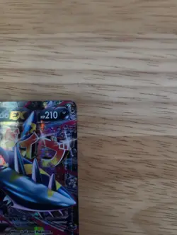 M Sharpedo EX XY200 Black Star Promo XY Holo NM - Image 4