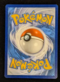 M Sharpedo EX - XY200 Black Star Promo Pokemon - LP - Image 3
