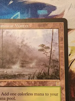 MTG Apocalypse - Llanowar Wastes LP - Image 3
