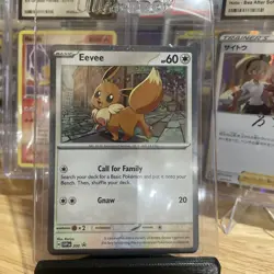 EEVEE #200 POKEMON BLACK STAR PROMO HOLO - Scarlet & Violet - Image 1
