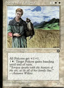 Homelands Soraya the Falconer - Image 1