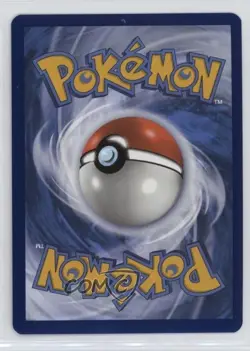 Pikachu (Paldea Adventure Chest) Holo Pokemon Scarlet & Violet Black Star Promo - Image 2