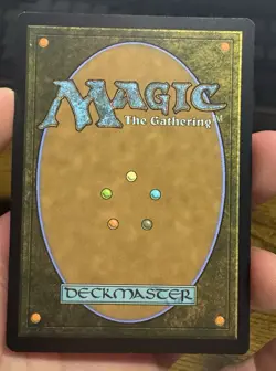 Magic The Gathering MTG - Brushland (Borderless) - The Brothers' War NM - Image 2