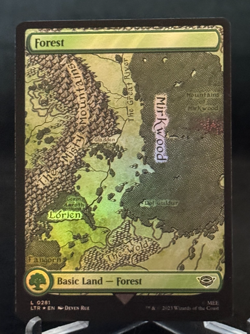 MTG LTR Lord of the Rings Middle-earth Foil Forest (B) - Basic Land - Image 1