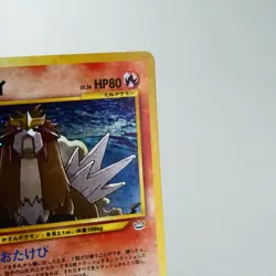 NM-) Entei No.244 Holo Neo Revelation Pokemon Card Japanese w166-e12 - Image 4