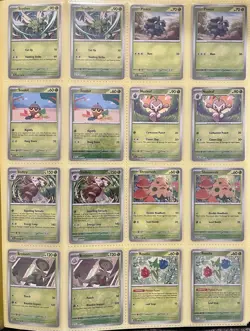 Pokemon TCG Temporal Forces 100% Complete Master Base Set NM/Mint + Binder - Image 1