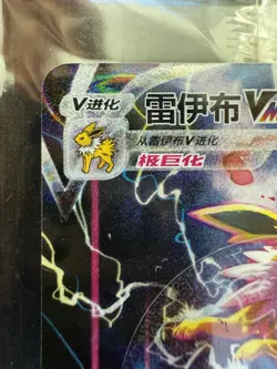 Pokemon SEALED Chinese Jolteon VMAX 009/009 Eevee Gift Box Alternate Art Holo NM - Image 3