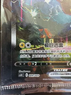 Pokemon SEALED Chinese Jolteon VMAX 009/009 Eevee Gift Box Alternate Art Holo NM - Image 5