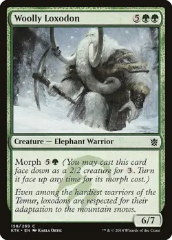 Woolly Loxodon MTG Khans of Tarkir - Magic the Gathering Card - Image 1