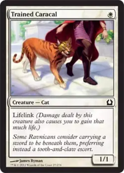 Trained Caracal [Return to Ravnica] Magic MTG Card - Image 1