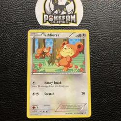 Teddiursa RC15/RC25 - Pokemon TCG Legendary Treasures Radiant Collection Card LP - Image 1