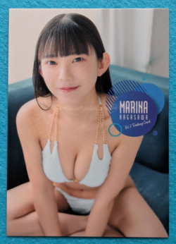 MARINA NAGASAWA Vol.2 Trading Card RG07 Japanese Model TCG - Image 1