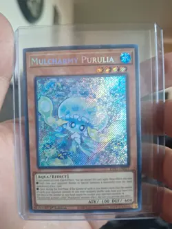 YUGIOH! Mulcharmy PURULIA - INFO-EN027 1st Edition Secret Rare NM - Image 1
