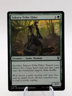 Magic the Gathering | Sakura Tribe Elder | NM - Image 1