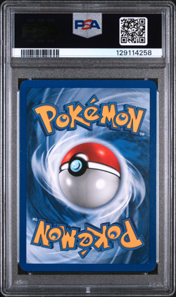 PSA 8 Blastoise Holo NM-MT #2 Base Set 2 Pokemon 2000 129114258 - Image 2