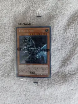 Yu-Gi-Oh! Blue-Eyes Alternative White Dragon Secret Rare WCS2017 Japanese - Image 2