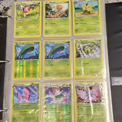 Pokemon TCG Ariados Weedle Quilladin Lotad Spinarak Holo Regular Lot 9 Cards - Image 1