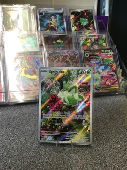 Sprigatito 196/193 Sv02: Paldea Evolved Holo English Pokemon TCG - Image 2