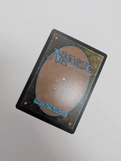 MTG - Kinscaer Sentry (Showcase) - Lorwyn Eclipsed NM/M Condition - Image 3