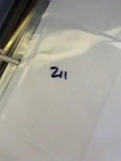 Magic the Gathering: Beta Hurloon Minotaur MTG Beta - Image 3