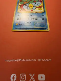 Pokemon Squirtle VHS intro Japanese deck No. 007 (16) NM Near mint -VLP - Image 5