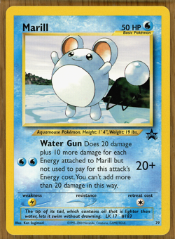 Marill - # 29 ~ WOTC 2000 Black Star Promo ~ Light Play!! - Image 1