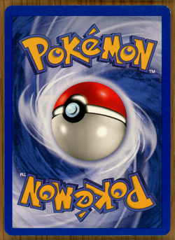 Marill - # 29 ~ WOTC 2000 Black Star Promo ~ Light Play!! - Image 2