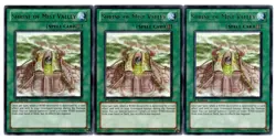 Yugioh - 3X Shrine of Mist Valley - Rare - 1st Edition - ORCS-EN060 - NM - Image 1