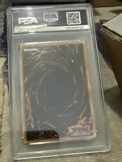 PSA 8 2005 Yu-Gi-Oh! EN006 Panther Warrior Collector Tins Promo Konami - Image 3