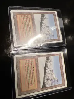 Taiga Revised Edition Regular LP x 1 - Image 2