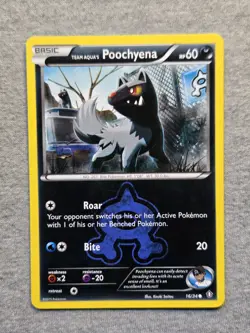 Pokemon Team Aqua’s Poochyena Double Crisis 16/34 - Image 1