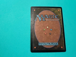 Llanowar Wastes - Apocalypse - MTG - Magic the Gathering - Image 4