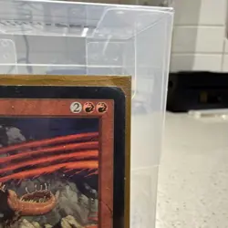 Mana Echoes Onslaught Regular - Image 3