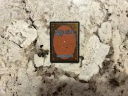 Mtg Mystic Remora - Magic the Gathering Mystic Remora Played - Image 2