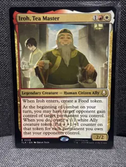 Iroh, Tea Master Avatar: The Last Airbender Regular - Image 1