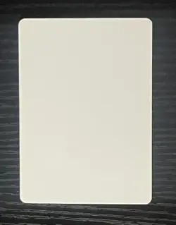 Magic MTG Italian Revised Forest Artist Proof Near Mint - Rush AP - Image 2