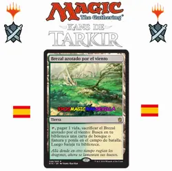 MTG Brezal azotado por el viento KANS DE TARKIR ESPANOL NM Windswept Heath - Image 1