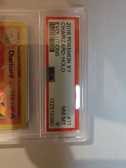 Charizard 11/108 Pokemon TCG XY Evolutions Holo Rare PSA NM-MT 8 - Image 3