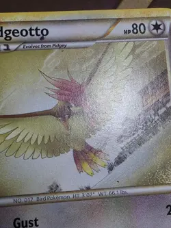 HP Pidgeotto - HGSS Triumphant 47/102 2010 Pokemon Card - Image 4