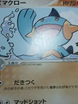 HP Pokemon Marshtomp 006/016 Groudon ex Half Deck Japanese - Image 4