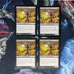 x4 Black Poplar Shaman (Lorwyn) MTG - Image 1